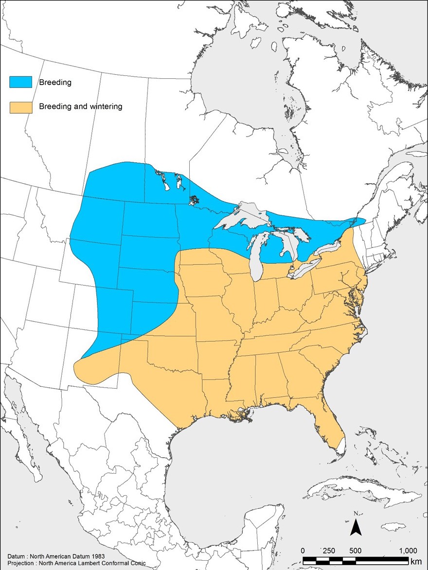 Distribution of the Red-headed Woodpecker in Canada