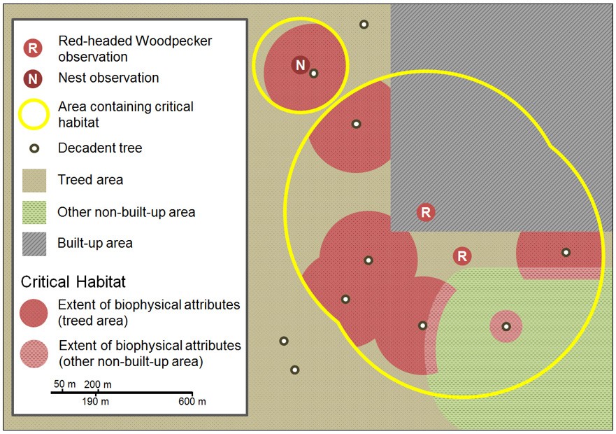 Example diagram of areas containing critical habitat 