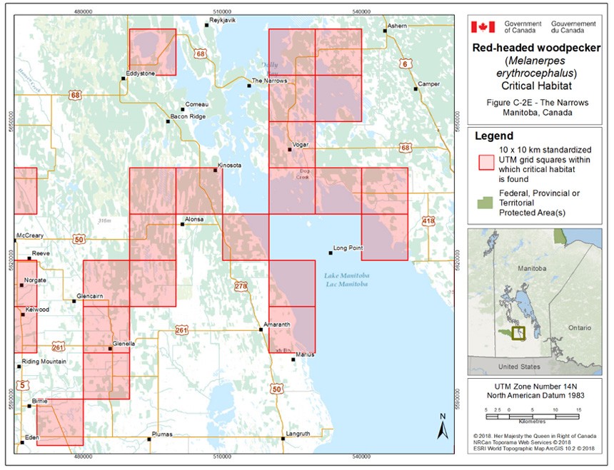 Critical habitat for the Red-headed Woodpecker in Manitoba