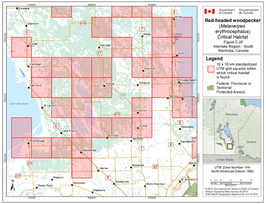 Critical habitat for the Red-headed Woodpecker in Manitoba