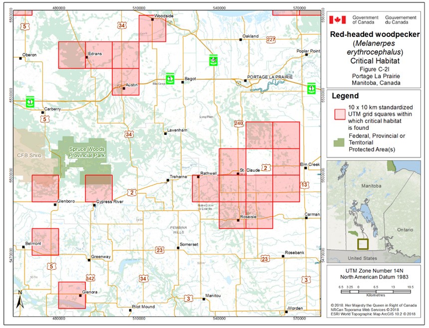 Critical habitat for the Red-headed Woodpecker in Manitoba