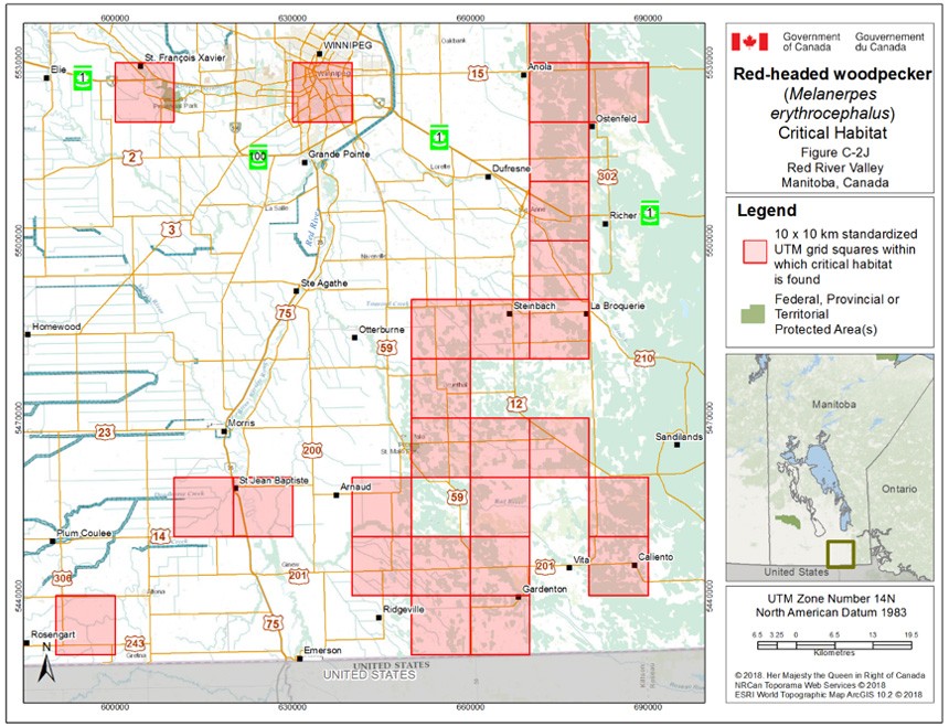 Critical habitat for the Red-headed Woodpecker in Manitoba