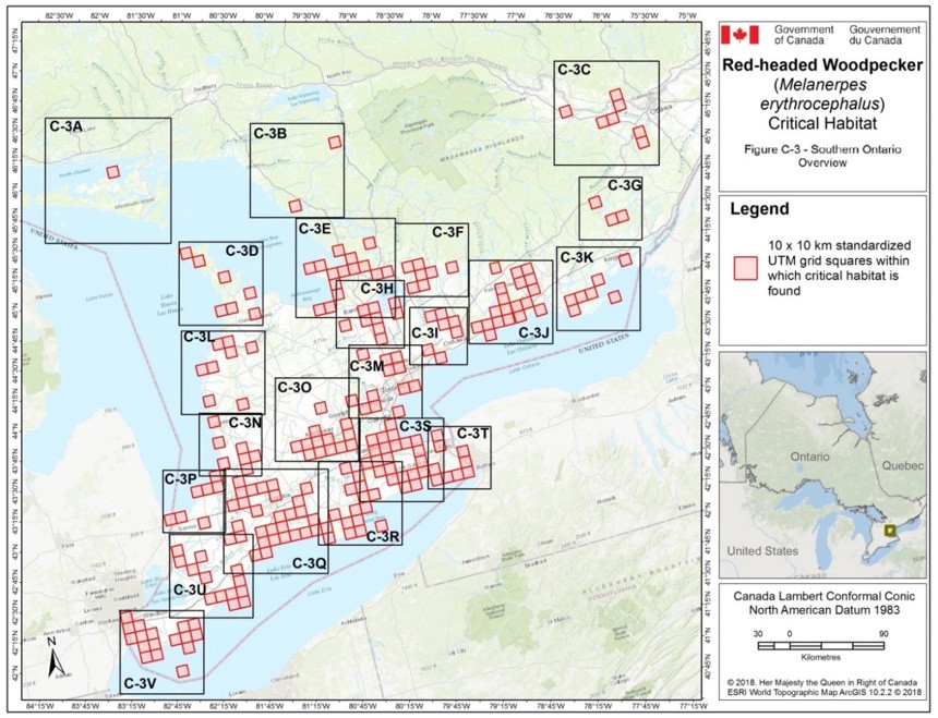 Critical habitat for the Red-headed Woodpecker in Ontario 