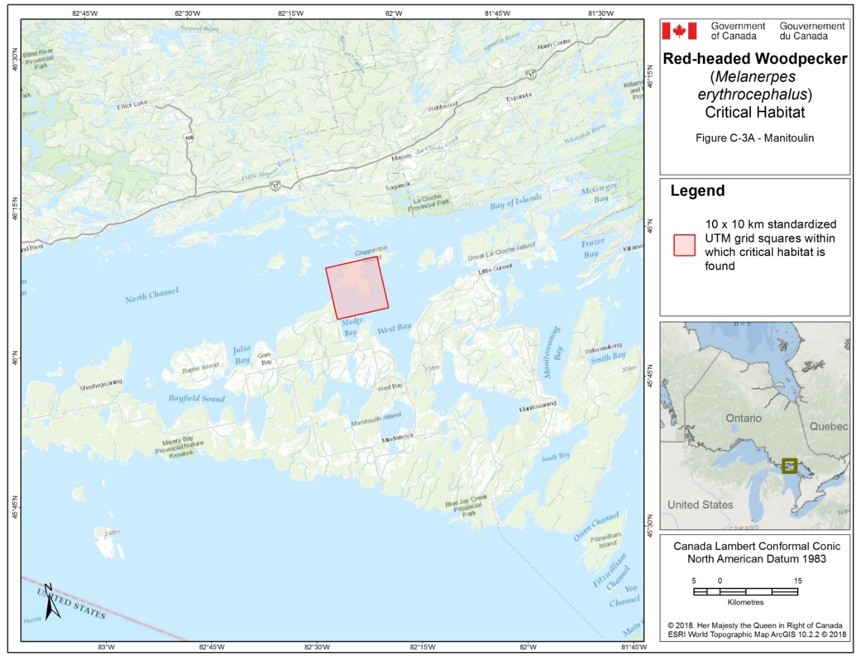 Critical habitat for the Red-headed Woodpecker in Ontario 