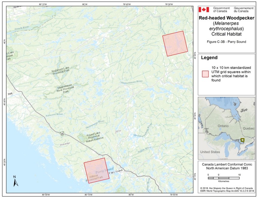 Critical habitat for the Red-headed Woodpecker in Ontario 