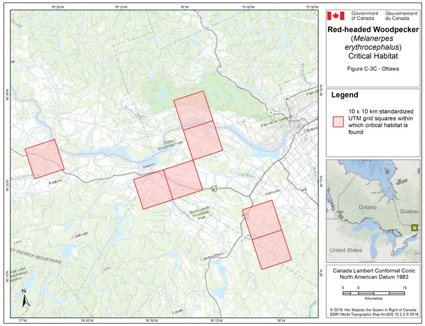 Critical habitat for the Red-headed Woodpecker in Ontario 