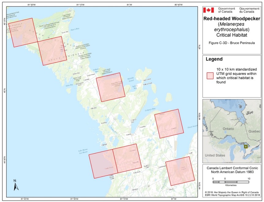 Critical habitat for the Red-headed Woodpecker in Ontario 