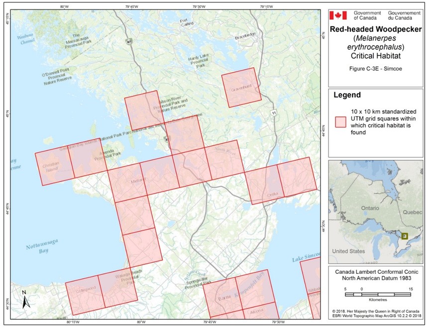 Critical habitat for the Red-headed Woodpecker in Ontario 