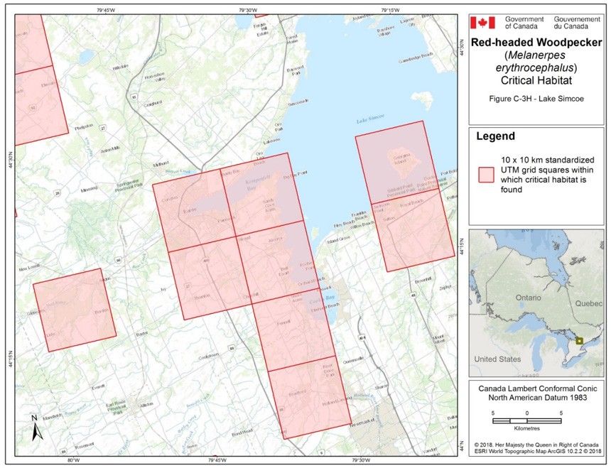 Critical habitat for the Red-headed Woodpecker in Ontario 