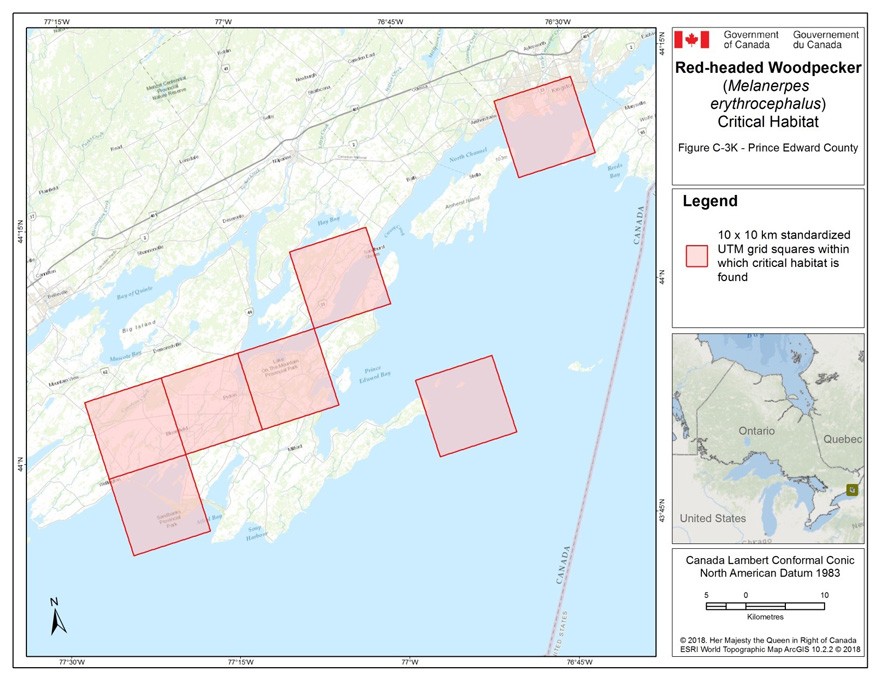 Critical habitat for the Red-headed Woodpecker in Ontario 