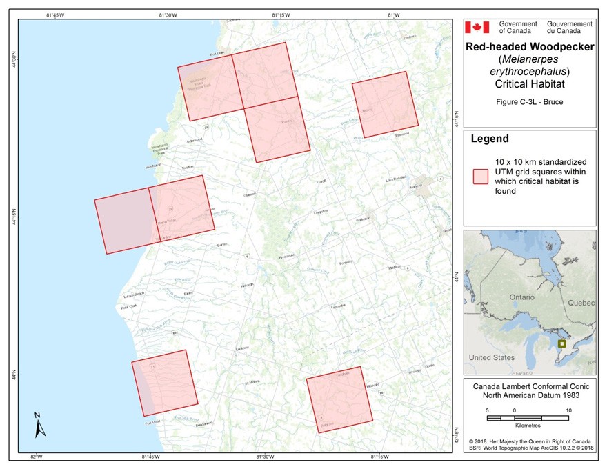 Critical habitat for the Red-headed Woodpecker in Ontario 