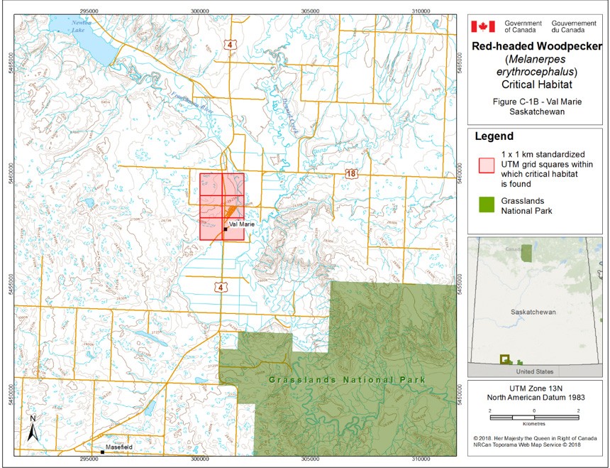 Critical habitat for the Red-headed Woodpecker in Saskatchewan 