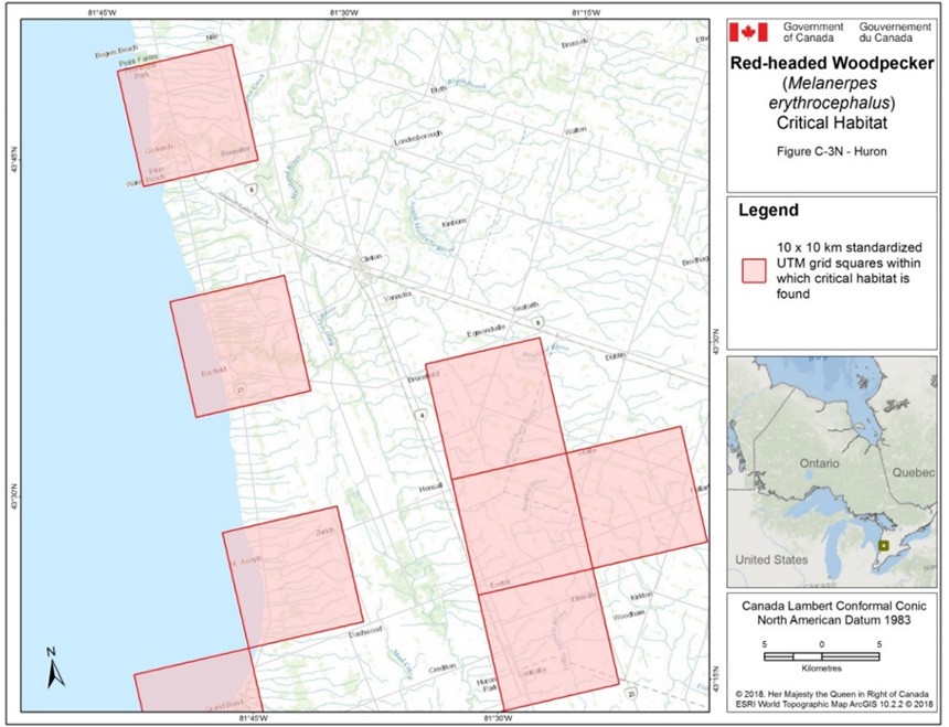 Critical habitat for the Red-headed Woodpecker in Ontario 