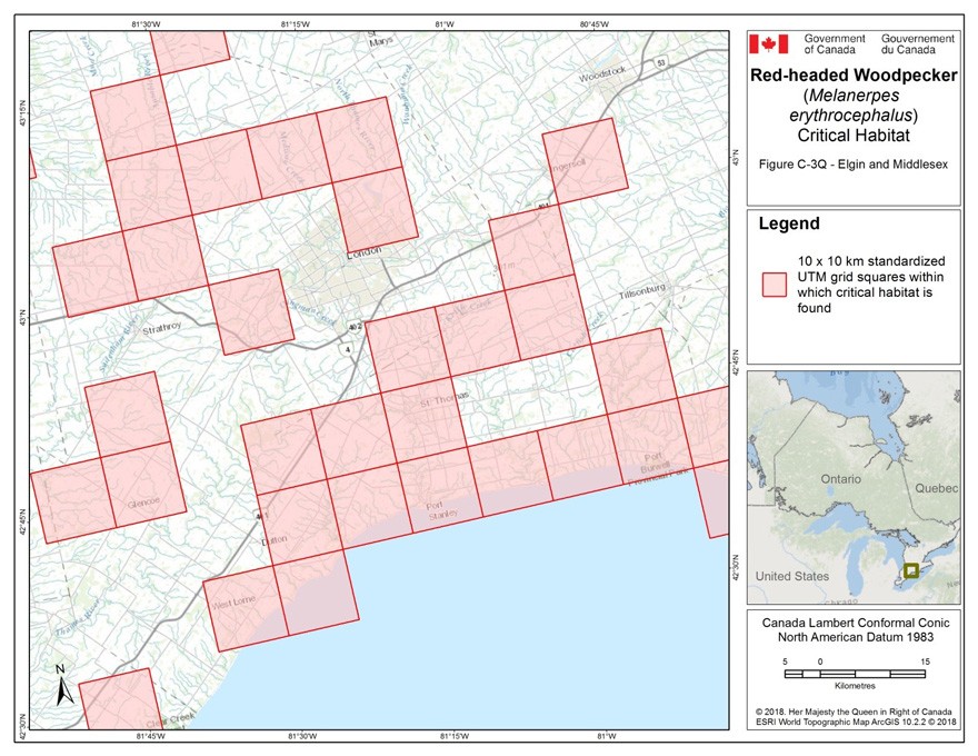 Critical habitat for the Red-headed Woodpecker in Ontario 