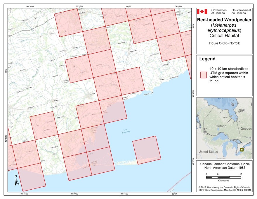 Critical habitat for the Red-headed Woodpecker in Ontario 