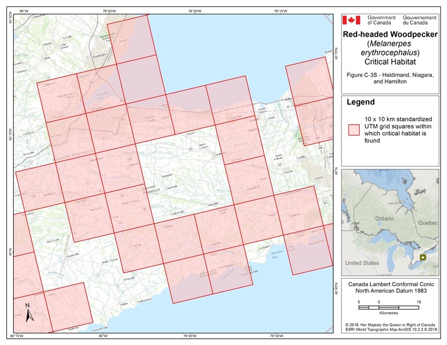 Critical habitat for the Red-headed Woodpecker in Ontario 