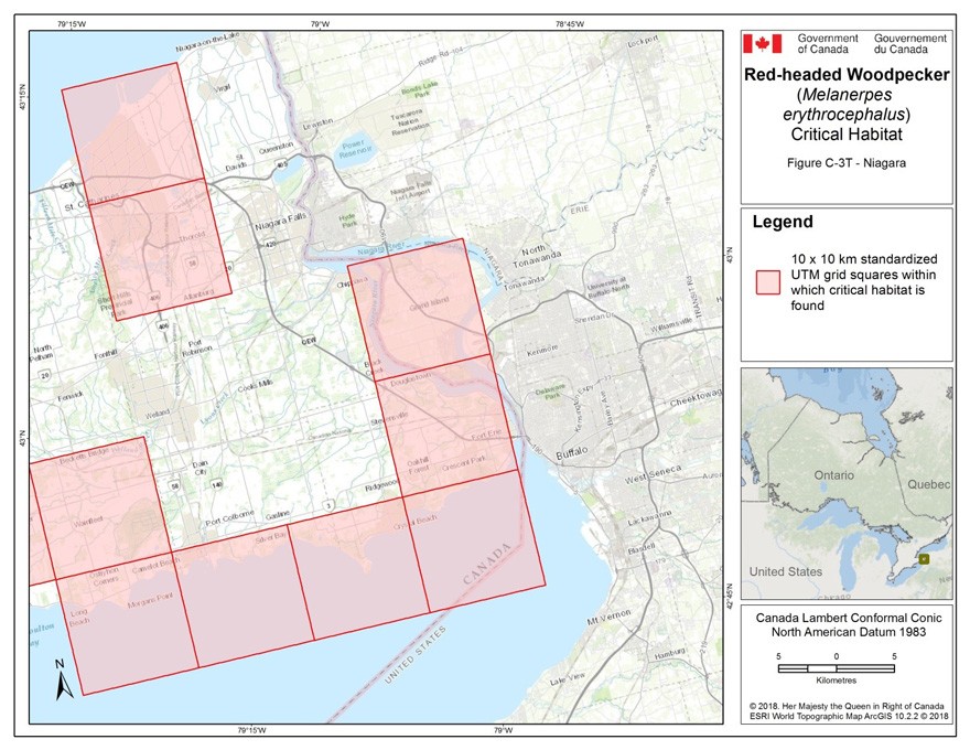 Critical habitat for the Red-headed Woodpecker in Ontario 