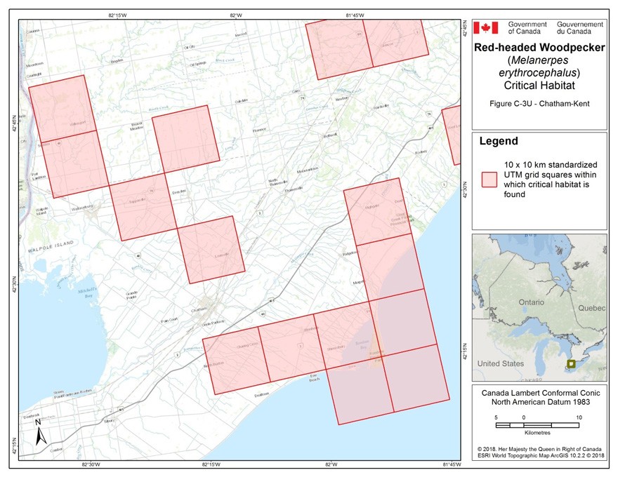 Critical habitat for the Red-headed Woodpecker in Ontario 