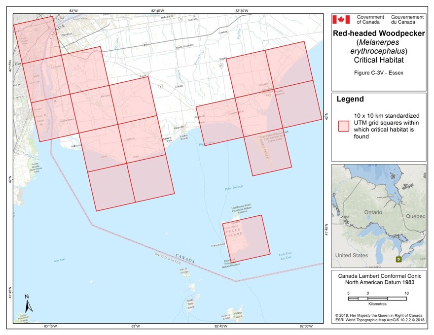 Critical habitat for the Red-headed Woodpecker in Ontario 