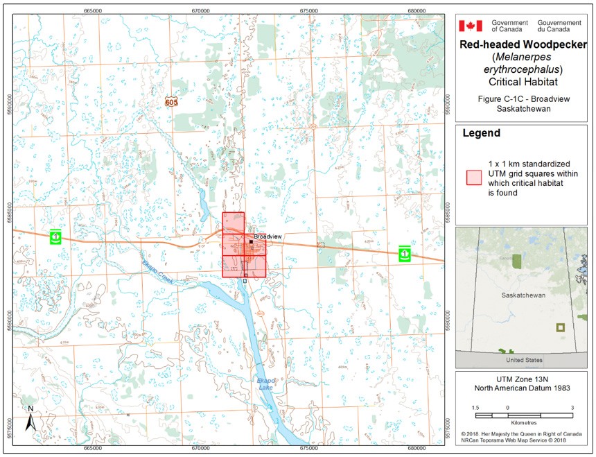 Critical habitat for the Red-headed Woodpecker in Saskatchewan 