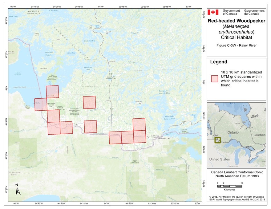 Critical habitat for the Red-headed Woodpecker in Ontario 