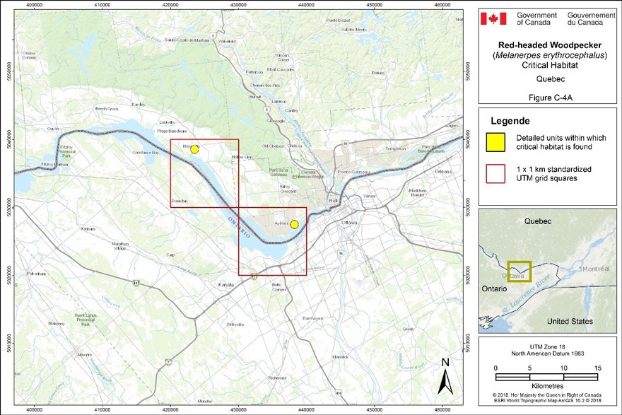 Critical habitat for the Red-headed Woodpecker in Quebec