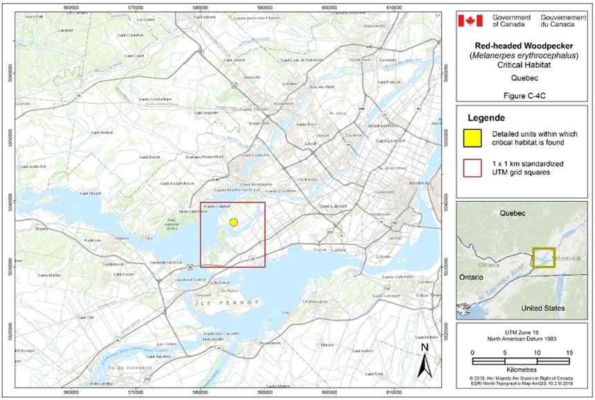 Critical habitat for the Red-headed Woodpecker in Quebec