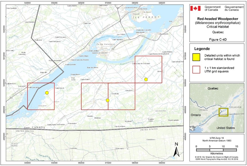 Critical habitat for the Red-headed Woodpecker in Quebec