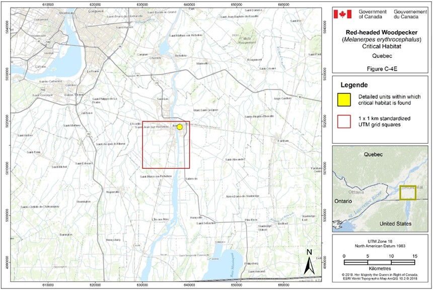 Critical habitat for the Red-headed Woodpecker in Quebec