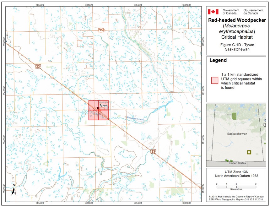 Critical habitat for the Red-headed Woodpecker in Saskatchewan 