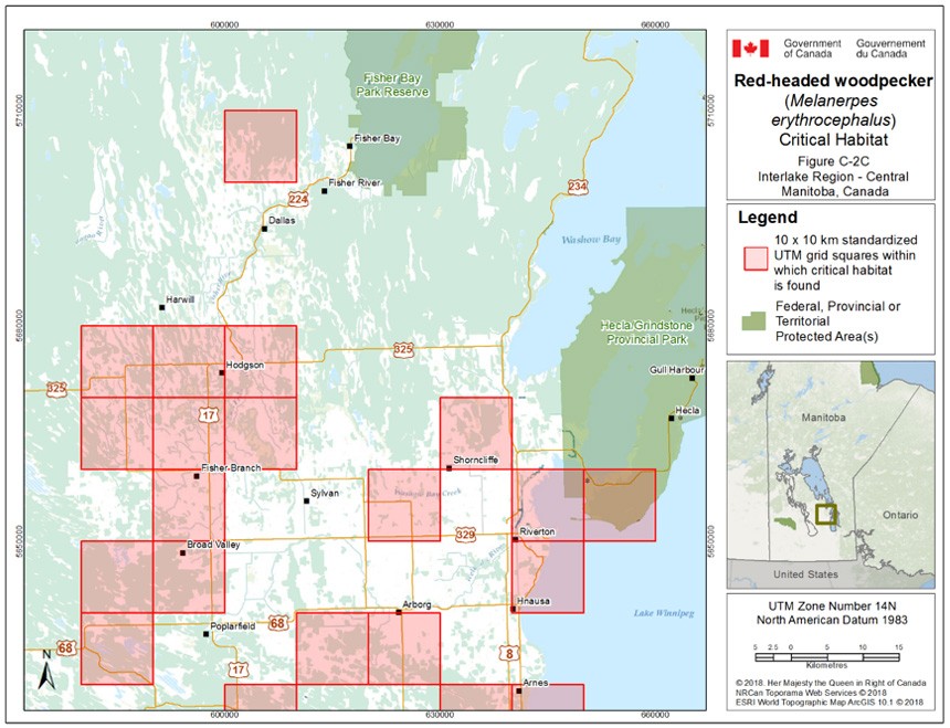 Critical habitat for the Red-headed Woodpecker in Manitoba