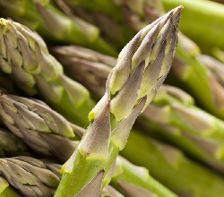 Raw organic asparagus spears ready to be cooked.