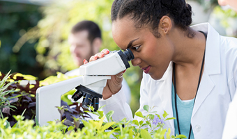 A scientist looking into a microscope.