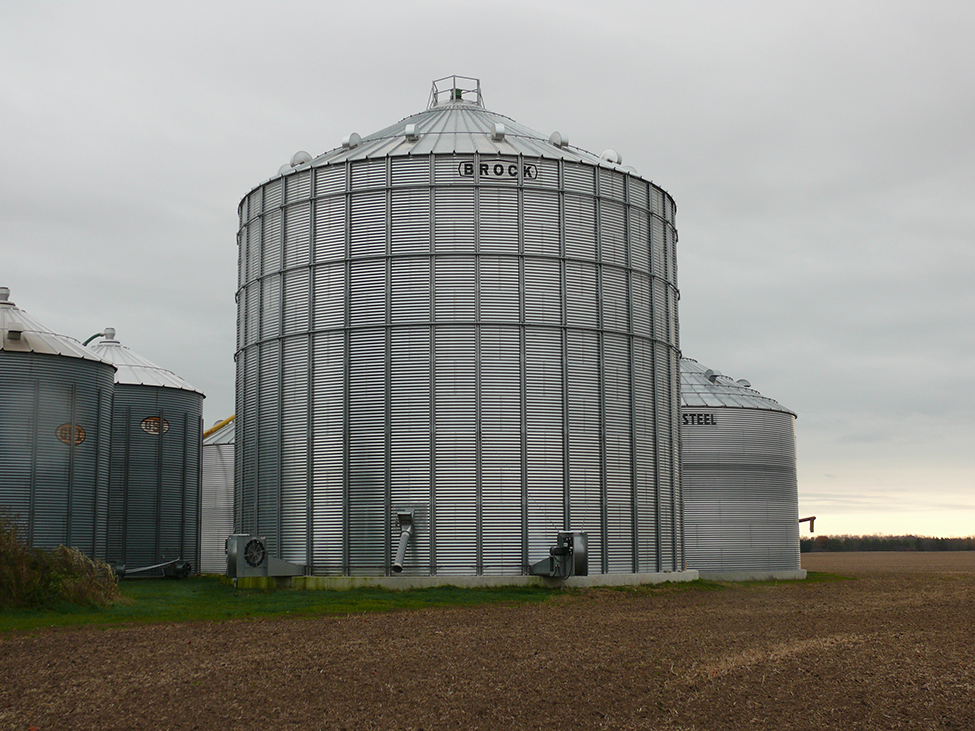 A large, circular metal storage bin with two centrifugal fans mounted through the sidewall. This bin has numerous vents around the roof. The vents are placed about 2 m (6 ft) back from the eaves of the roof. A smaller bin is partially in view behind the larger bin.