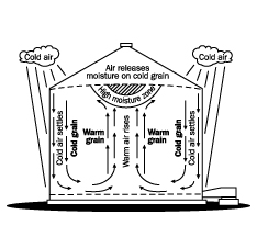Cross-section view of a bin filled with grain to show air movement with cold outside conditions (Fall) and warm grain inside. Cold air inside the bin wall will fall to the bin floor and travel to the centre of the bin. The air then will move vertically, be warmed by the grain and pick up moisture from the grain. This moisture will condense on the cold grain at the top of the bin. The moisture will cause spoilage if left unchecked. Aeration will keep grain temperature close to ambient air temperature to avoid spoilage.