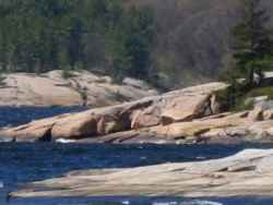 Canadian Shield landscape in Killbear Provincial Park