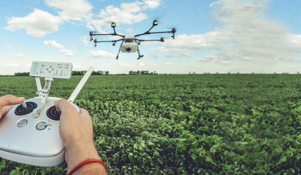 Agriculture and food jobs in Ontario ontario.ca