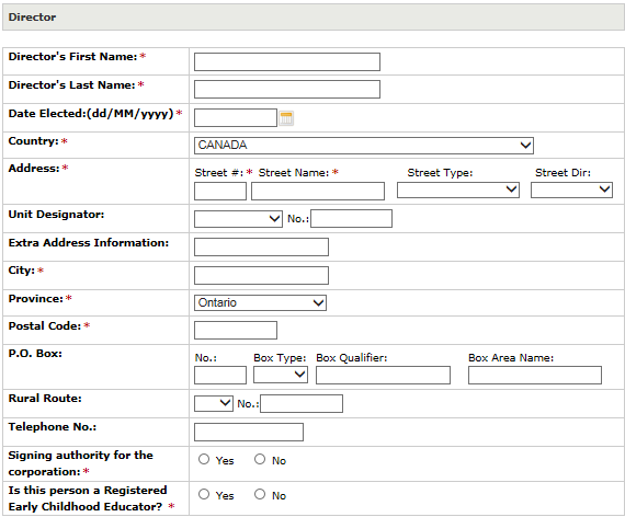 Image of the Director window with fillable textboxes and checkboxes to fill out the Director’s information. 