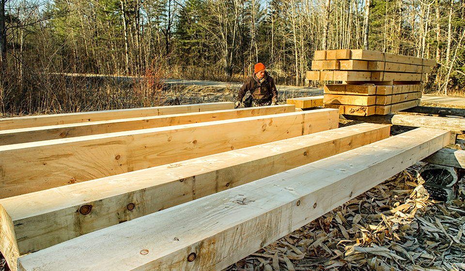 Forestry jobs in ontario canada