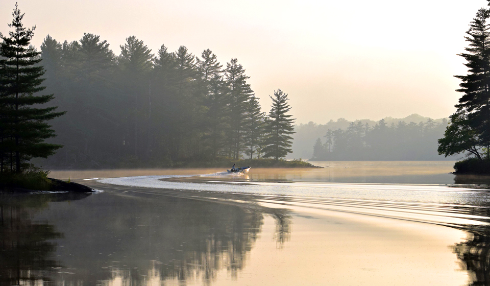 Managing invasive species in Ontario | ontario.ca