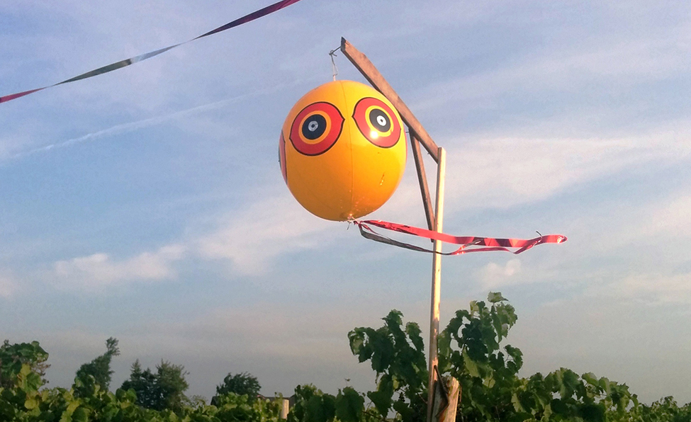 A scare-eye balloon, which is a yellow balloon with two circles on it that look like “eyes” and some shiny streamers hanging from the bottom of the balloon.
