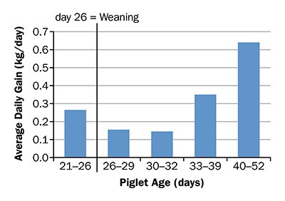 Piglet average daily gain, pre- and post-weaning, showing the PWGL.