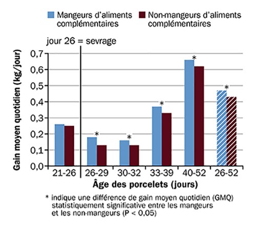 Gains de poids moyens quotidiens des porcelets ayant consommé ou ayant refusé de consommer l'alimentation complémentaire proposée en enclos de mise bas.