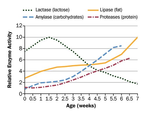 Digestive enzyme activity pattern in your pigs.