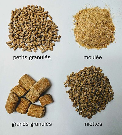 L'alimentation complémentaire existe sous différentes formes, notamment les petits granulés, la moulée, les grands granulés et les miettes.