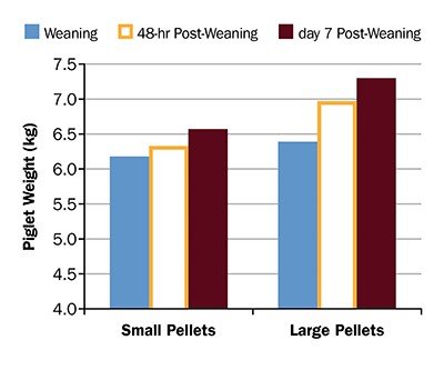 Piglet weights at weaning, 2 days and 7 days, post-weaning, on one commercial farm.