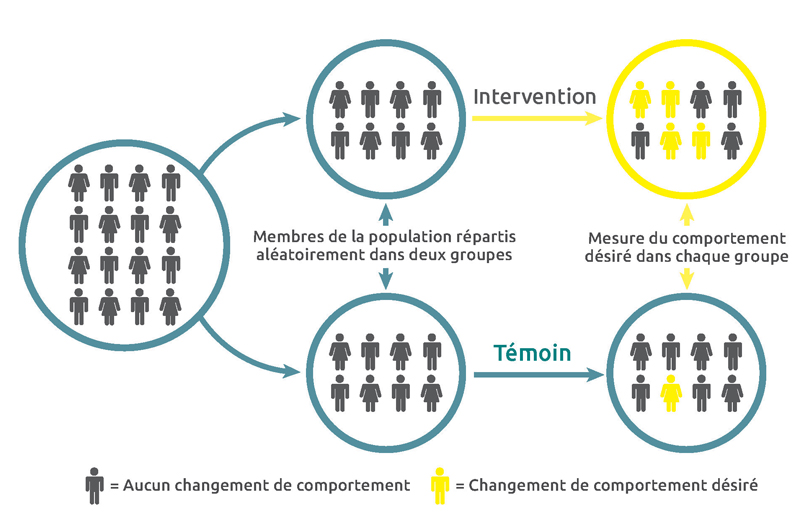 Image illustrant la répartition des participants en deux groupes lors d’un essai contrôlé randomisé : le groupe d’intervention et le groupe témoin. Les membres de la population sont répartis aléatoirement dans l’un ou l’autre. On mesure ensuite le changement de comportement désiré dans chaque groupe.