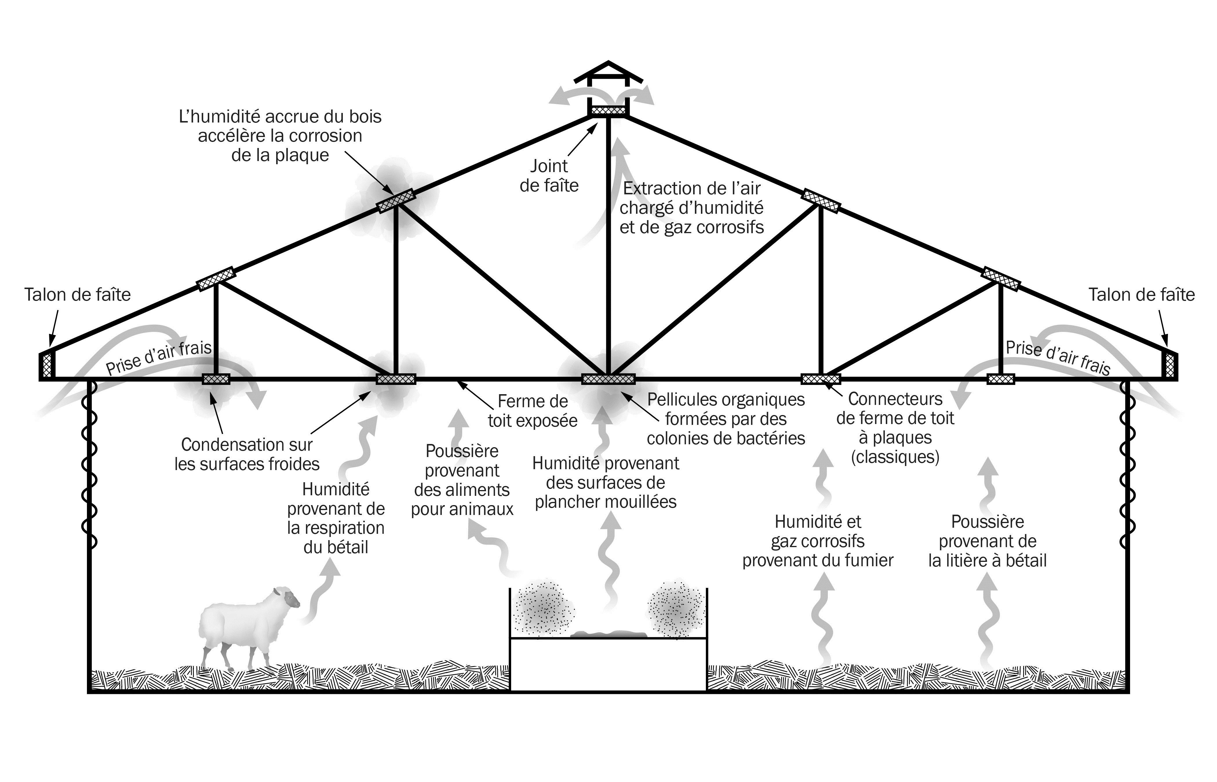 Ce croquis est une coupe transversale d’une bergerie non chauffée ne possédant pas de plafond, exposant les fermes au milieu intérieur. Le croquis illustre certaines sources typiques d’humidité, de gaz corrosifs et de poussière dans une étable.