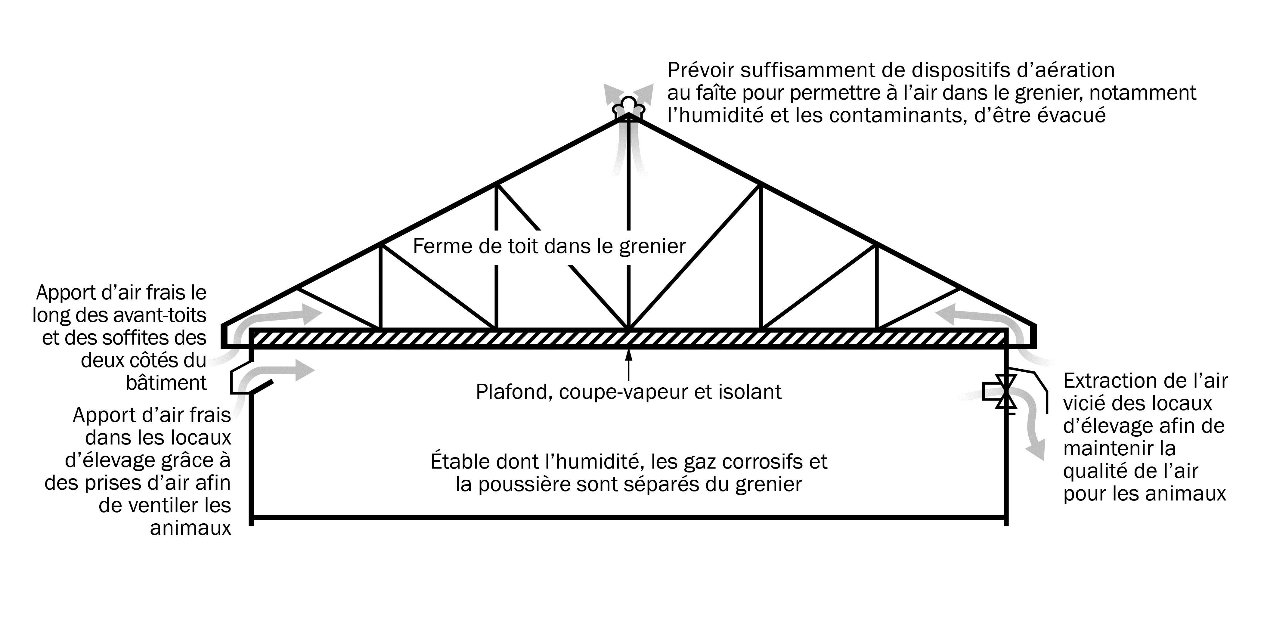 Ce croquis est une coupe transversale d’une bergerie possédant un plafond isolé, séparant les fermes du milieu intérieur. Le grenier et les locaux d’élevage ont une ventilation séparée.