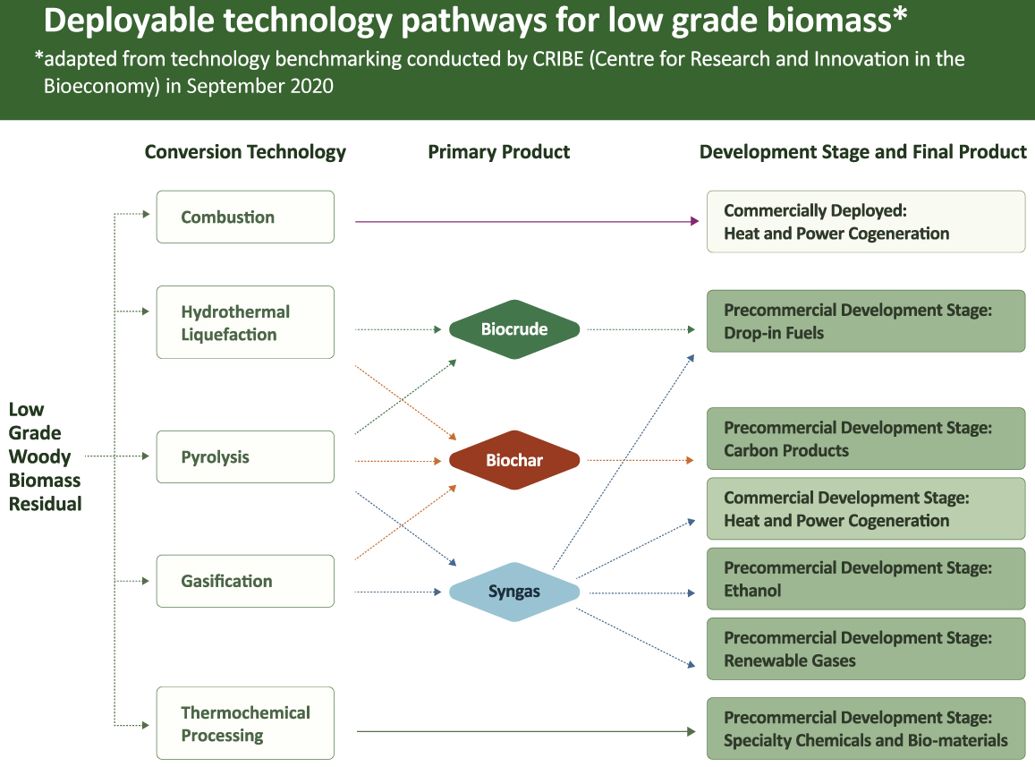 This flowchart illustrates the technical and commercial readiness of various established and emerging uses for low-grade forest biomass in the form of bark. This demonstrates that new uses for low-grade forest biomass requires significant investments in pre-commercial development.